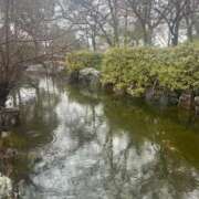 ヒメ日記 2025/03/11 07:25 投稿 獅子王　らん エテルナ彦根