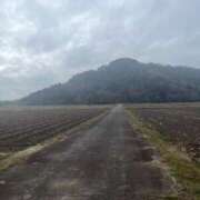 ヒメ日記 2025/03/16 08:18 投稿 獅子王　らん エテルナ彦根