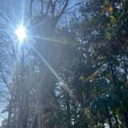 ヒメ日記 2025/03/20 05:16 投稿 獅子王　らん エテルナ彦根