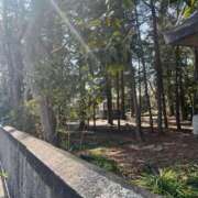 ヒメ日記 2025/03/21 06:43 投稿 獅子王　らん エテルナ彦根