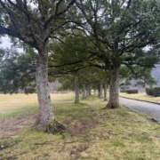 ヒメ日記 2025/03/28 07:38 投稿 獅子王　らん エテルナ彦根