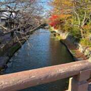 ヒメ日記 2025/03/31 06:56 投稿 獅子王　らん エテルナ彦根