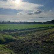 ヒメ日記 2025/04/03 06:45 投稿 獅子王　らん エテルナ彦根