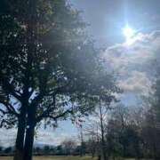 ヒメ日記 2025/04/04 06:26 投稿 獅子王　らん エテルナ彦根