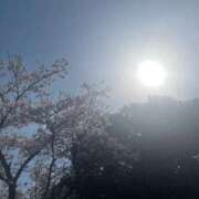 ヒメ日記 2025/04/09 06:08 投稿 獅子王　らん エテルナ彦根