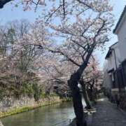 ヒメ日記 2025/04/16 07:30 投稿 獅子王　らん エテルナ彦根