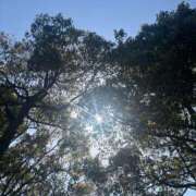 ヒメ日記 2025/04/19 07:33 投稿 獅子王　らん エテルナ彦根