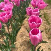 ヒメ日記 2025/04/23 07:29 投稿 獅子王　らん エテルナ彦根