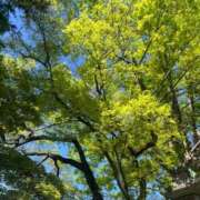 ヒメ日記 2025/04/27 07:30 投稿 獅子王　らん エテルナ彦根