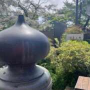 ヒメ日記 2025/04/28 07:42 投稿 獅子王　らん エテルナ彦根