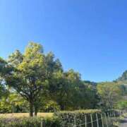 ヒメ日記 2025/04/30 07:05 投稿 獅子王　らん エテルナ彦根