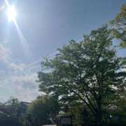 ヒメ日記 2025/05/01 08:27 投稿 獅子王　らん エテルナ彦根