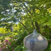 ヒメ日記 2025/05/11 07:17 投稿 獅子王　らん エテルナ彦根