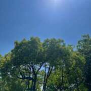 ヒメ日記 2025/05/15 06:46 投稿 獅子王　らん エテルナ彦根