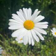 ヒメ日記 2025/05/16 06:37 投稿 獅子王　らん エテルナ彦根