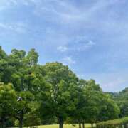 ヒメ日記 2025/05/18 07:41 投稿 獅子王　らん エテルナ彦根