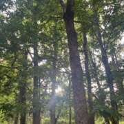 ヒメ日記 2025/05/25 07:24 投稿 獅子王　らん エテルナ彦根