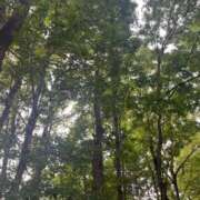 ヒメ日記 2025/05/31 07:01 投稿 獅子王　らん エテルナ彦根