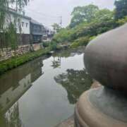 ヒメ日記 2025/06/01 07:30 投稿 獅子王　らん エテルナ彦根