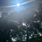 ヒメ日記 2025/06/02 06:30 投稿 獅子王　らん エテルナ彦根