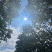 ヒメ日記 2025/06/05 07:42 投稿 獅子王　らん エテルナ彦根