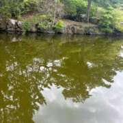 ヒメ日記 2025/06/10 07:24 投稿 獅子王　らん エテルナ彦根