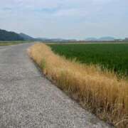 ヒメ日記 2025/06/12 07:09 投稿 獅子王　らん エテルナ彦根