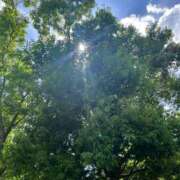 ヒメ日記 2025/06/21 08:11 投稿 獅子王　らん エテルナ彦根