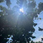 ヒメ日記 2025/06/22 08:36 投稿 獅子王　らん エテルナ彦根