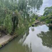 ヒメ日記 2025/07/02 08:08 投稿 獅子王　らん エテルナ彦根