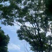 ヒメ日記 2025/07/09 07:52 投稿 獅子王　らん エテルナ彦根