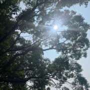 ヒメ日記 2025/07/10 07:07 投稿 獅子王　らん エテルナ彦根