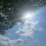 ヒメ日記 2025/07/18 06:30 投稿 獅子王　らん エテルナ彦根