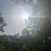 ヒメ日記 2025/07/19 07:52 投稿 獅子王　らん エテルナ彦根