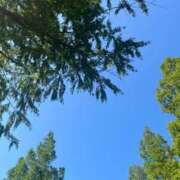 ヒメ日記 2025/07/31 07:12 投稿 獅子王　らん エテルナ彦根