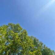 ヒメ日記 2025/08/22 07:19 投稿 獅子王　らん エテルナ彦根