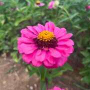 ヒメ日記 2025/10/14 08:08 投稿 獅子王　らん エテルナ彦根