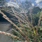 ヒメ日記 2025/10/21 07:16 投稿 獅子王　らん エテルナ彦根