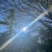 ヒメ日記 2025/10/27 07:13 投稿 獅子王　らん エテルナ彦根