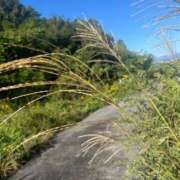 ヒメ日記 2025/11/10 06:00 投稿 獅子王　らん エテルナ彦根