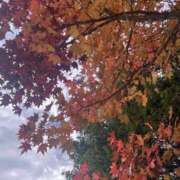 ヒメ日記 2025/11/13 07:23 投稿 獅子王　らん エテルナ彦根