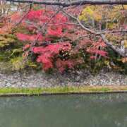 ヒメ日記 2025/11/21 06:43 投稿 獅子王　らん エテルナ彦根