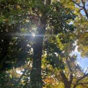 ヒメ日記 2025/11/30 06:32 投稿 獅子王　らん エテルナ彦根