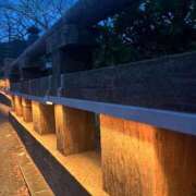 ヒメ日記 2025/12/04 08:00 投稿 獅子王　らん エテルナ彦根