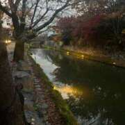 獅子王　らん おはようございます エテルナ彦根