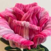 獅子王　らん おはようございます エテルナ彦根