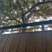 ヒメ日記 2025/12/15 07:33 投稿 獅子王　らん エテルナ彦根