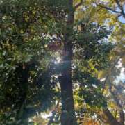 ヒメ日記 2025/12/19 06:50 投稿 獅子王　らん エテルナ彦根