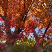 獅子王　らん おはようございます エテルナ彦根