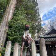 ヒメ日記 2026/01/04 08:31 投稿 獅子王　らん エテルナ彦根